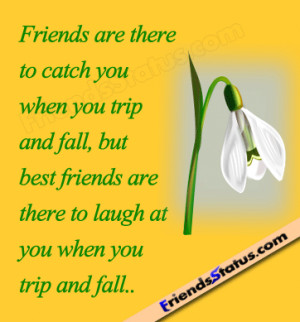 ... are there to catch you when You trip and fall ~ Best Friend Quote