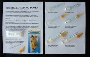 fetal station chart