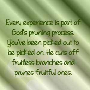 pruning process | Every experience is part of God’s pruning ...