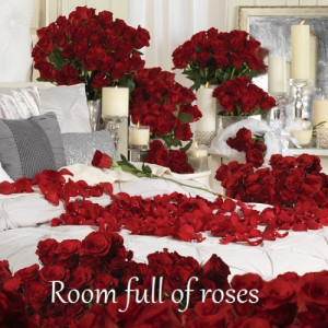Room full of roses