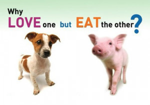 The Great Big Vegan Dilemma