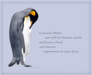 To reach others use soft but honest words and have a kind and sincere ...