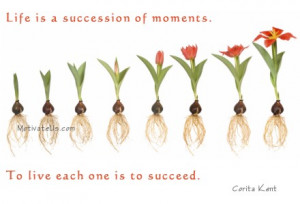 motivational picture of flower in stages with the quote: Life is a ...