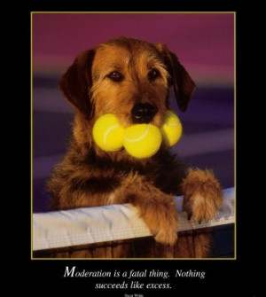 funny inspiring quotes (1)