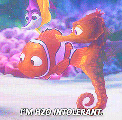 Finding Nemo Peach Quotes My top 11 finding nemo quotes
