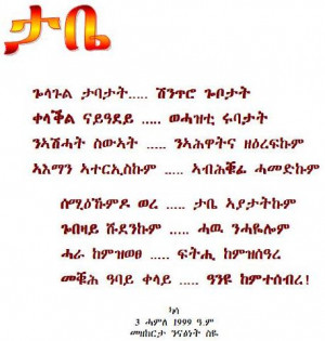 Small turtles may carry salmonella: CDC