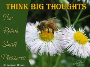 Think Big Thoughts But Relish Small Pleasures ~ Inspirational Quote