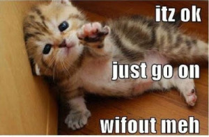 Funny Animal Pictures Quotes Pictures with Captions Quotes Words ...