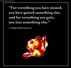 You lose something else quote
