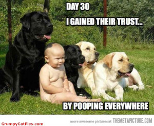 Finally Baby Found A Way To Gain The Dogs Trust Funny Captions Picture
