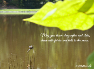 walk-in-the-woods-dragonfly-quote
