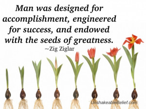 quotes-about-life-greatness-zig-ziglar