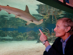 ... hosted Shark Week celebrating the 20-year anniversary of his novel