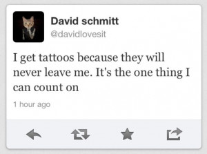 david schmitt quotes