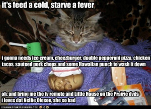 it's feed a cold, starve a fever