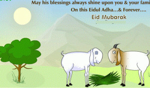 Happy Eid ul Adha (Zuha) Bakra Eid 2013 SMS/Wishes/Quotes/Wallpapers
