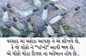 Funny Quotes Gujarati Suvichar Wallpaper 1280 X 800 247 Kb Jpeg