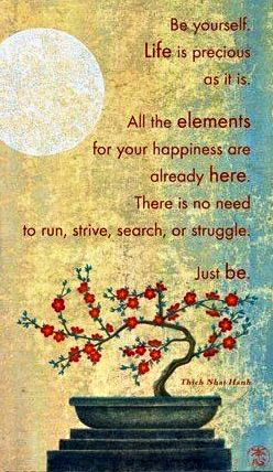 ... need to run, strive, search, or struggle. Just Be. ~ Thich Nhat Hanh
