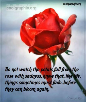 Do not watch the petals fall from the rose with sadness, know that ...