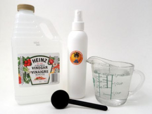 25 Uses for Apple Cider Vinegar | ByzantineFlowers