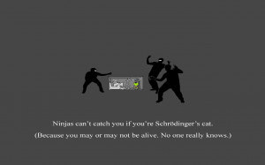 Funny Ninjas Ninjas Cant Catch You Wallpaper 3 Jpg