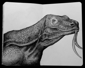 Incredibly Detailed Animal Drawings By Tim Jeffs (32 Pics)