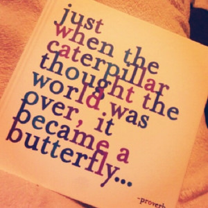 ... When The Caterpillar Thought The World Was Over, It Became A Butterfly