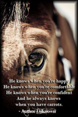 Horses know when we are happy