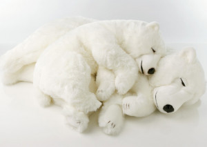 Dbdbdb4971teddy Bear Coloring Pages - HD Wallpapers