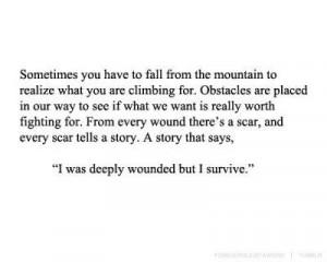 Sometimes, you have to fall from the mountain to realize what you’re ...