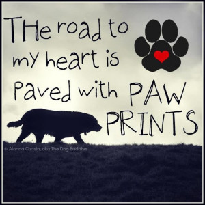 The road to my heart is paved with paw prints.