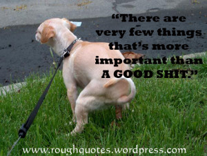 Funny Image Collection