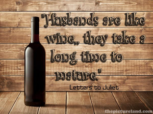 Funny Comparison Pictures About Husband And Wine