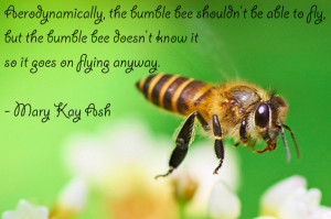 Bumble Bee Flying Quote Inspirational quotes