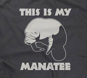 THIS-IS-MY-MANATEE-T-SHIRT-manatees-funny-sarcastic-saying-sayings ...