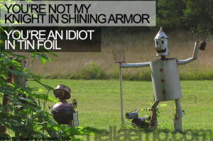 You're not my knight in shining armor. You're an idiot in tin foil.