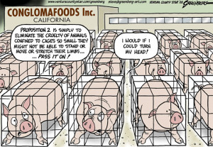 Back to cartoon category main page