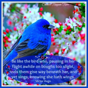 Blue Bird with Victor Hugo Quote https://www.Facebook.com ...