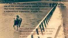 Wonderful horse quote concerning the greatest Thoroughbred race horse.