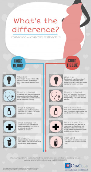 Difference between cord blood and cord tissue