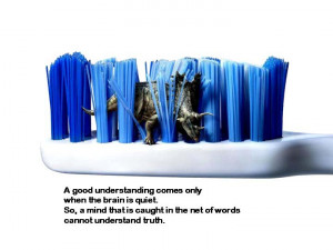 Beautiful Quotes and Sayings of LIFE with images