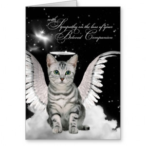 Pet Sympathy Loss of a Cat Tabby Angel Greeting Cards