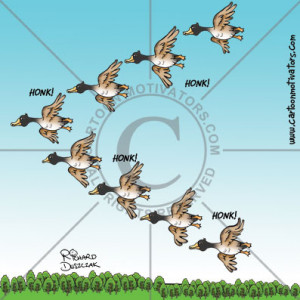 lessons from geese, cartoon of geese flying in formation, geese flying ...