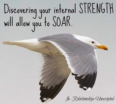 ... you to soar quote via www facebook com more intdesignerchat soar soar