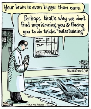 cartoon drawing of a lab-coated scientist speaking with a dolphin in a ...