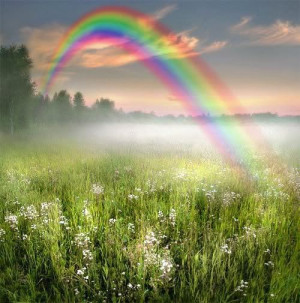 Rainbow Skies Pretty rainbows