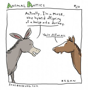 Found on shoeboxblog.com