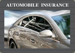 Auto Insurance