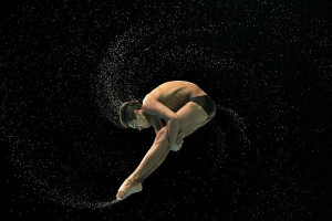 springboard diving quotes