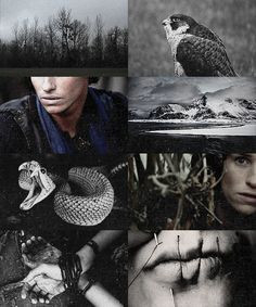 FIGURES OF NORSE MYTHOLOGY: LOKI The son of two Jotuns and blood ...